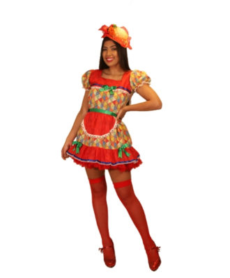 fantasia-vestido-caipira-bandeirinhas (1)