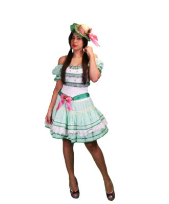 fantasia-vestido-caipira-beijinho (1)